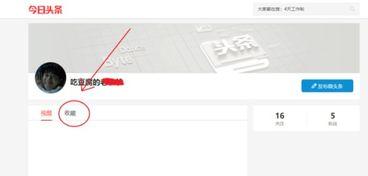 头条中收藏的内容怎样找,揭秘热门话题背后的故事