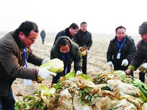 吃瓜东北分队理事,揭秘瓜界风云人物