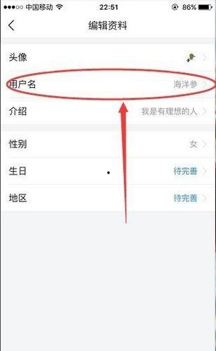 极速头条用户名怎么修改,如何打造个性鲜明、易于记忆的昵称