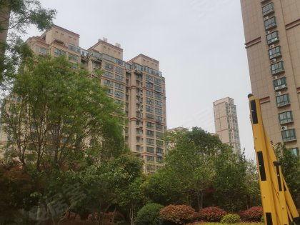 枣庄站前鑫苑网红店,网红美食聚集地，品味独特风味新地标