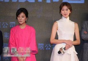 各种明星的合影照,明星合影背后的璀璨瞬间