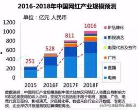 网红走向,从爆红到陨落，揭秘网红走向的神秘轨迹