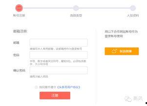 国外注册头条号注意事项,必知注意事项与操作指南