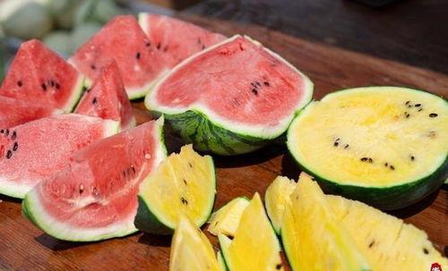 喂瓜吃瓜,喂瓜吃瓜的田园生活趣事