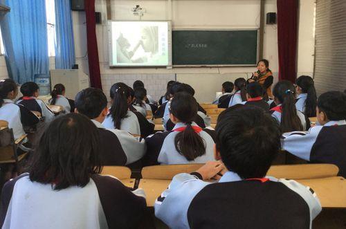 瓜埠小学邵婧老师简历,教育领域的耕耘者与探索者