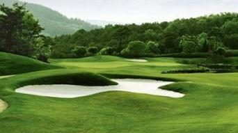 大理高尔夫 明星买了,明星云集，挥杆人生新境界”