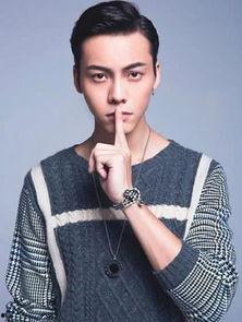 lzj的明星,揭秘lzj的星光之路