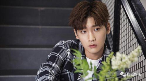 杨汝晴最新爆料图片高清,高清图片揭示惊人内幕