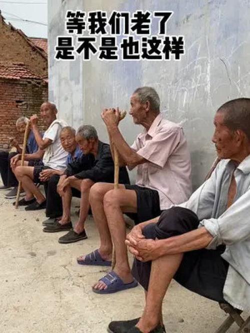 老穆哥最新爆料视频大全,揭秘娱乐圈幕后真相