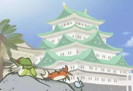 网红找青蛙,萌态可掬引网友追捧