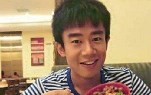 明星的儿子李,明星之子，闪耀星途