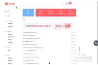 查看自己头条号名称,“[您的头条号名称]”背后的故事与魅力