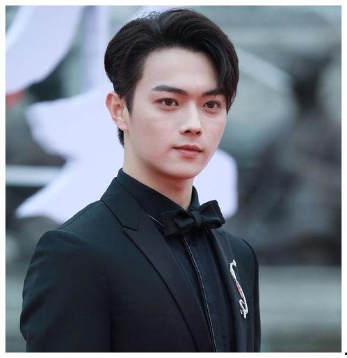 横店男明星大全图,星光熠熠，魅力无限