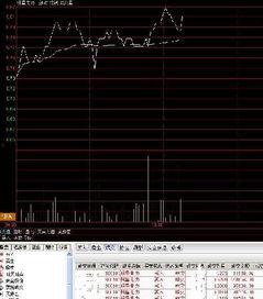 2015明星股票,风云变幻中的投资风向标
