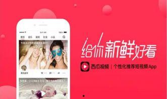 头条上可以看西瓜视频吗,轻松浏览西瓜视频，一键获取精彩内容