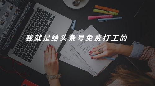 头条号年度总结报告,数据解读与成就盘点