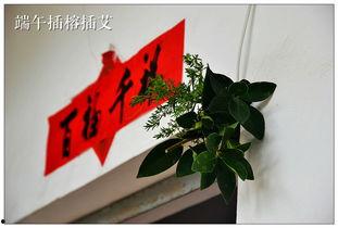 泉港沙格今日头条,揭秘沙格社区新动态与精彩瞬间