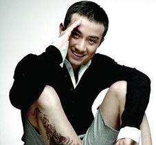 大明星文章全部,璀璨星途背后的故事与启示