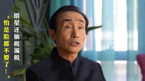 马峰明星偷税,娱乐圈税务问题再引热议