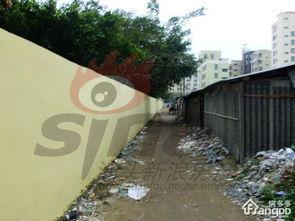 汕头头条城市绿化,绿色画卷，汕头城市绿化新篇章