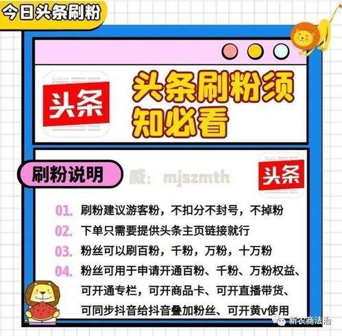 头条粉丝有什么重要吗,衡量影响力与价值的金标准