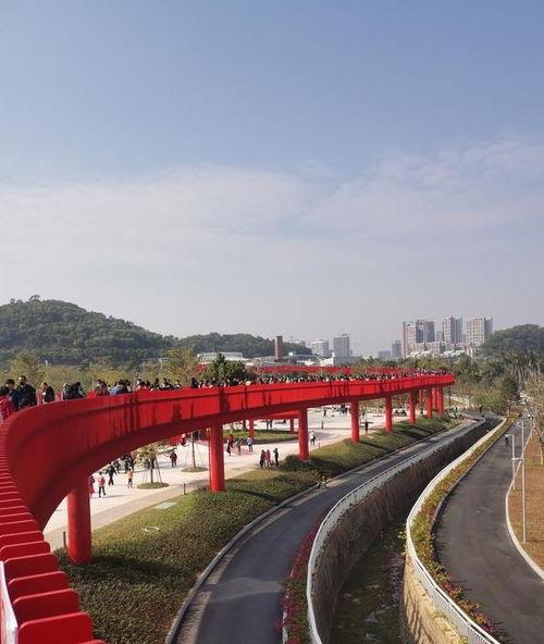 打卡网红景点 深圳坪山,探寻深圳坪山网红打卡地的魅力瞬间